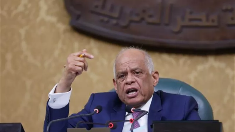 عاجل ..زلزال فى ”البرلمان ” بسبب ”متحرش الجامعة الأمريكية ”..و النواب :مش هنسيبه
