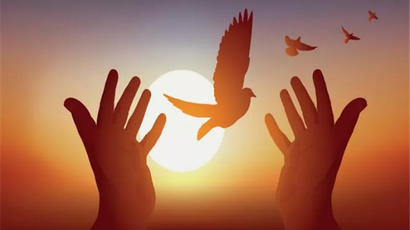 بخطوات سهلة.. كيف تتوكل على الله في حياتك؟