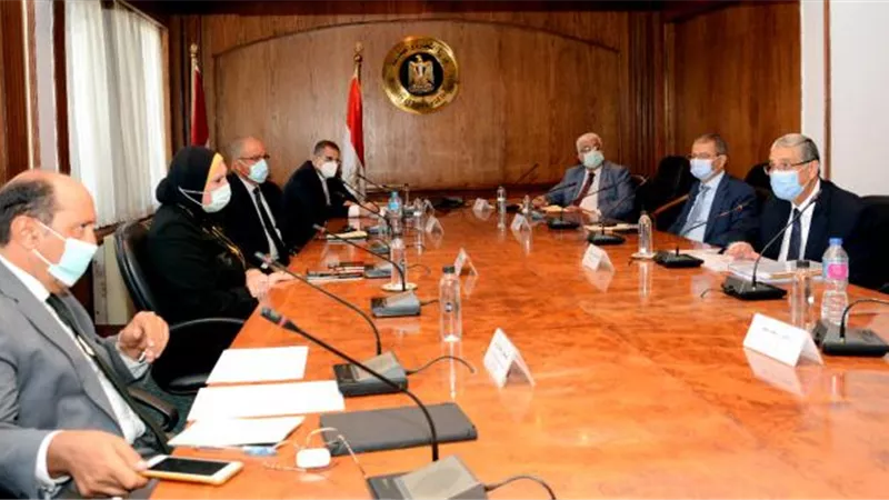 وزيرة الصناعة تبحث مع وزير الكهرباء آليات تفعيل قانون تفضيل المنتج المحلى فى المشتروات الحكومية