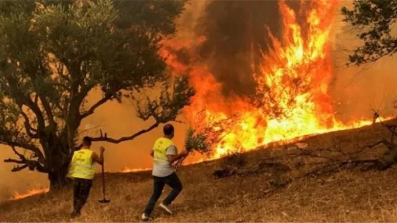 السلطة الفلسطينية تساعد إسرائيل في اخماد حرائق القدس
