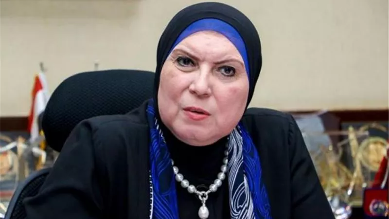 تجديد الثقة في نيفين جامع كرئيس تنفيذى لجهاز تنمية المشروعات