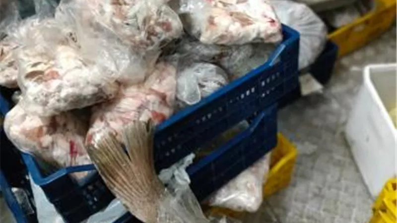 صور صادمة.. ضبط 2,4 طن مصنعات لحوم ودواجن وأسماك غير صالحة للإستهلاك الأدمى في مطاعم ومحلات بالجيزة