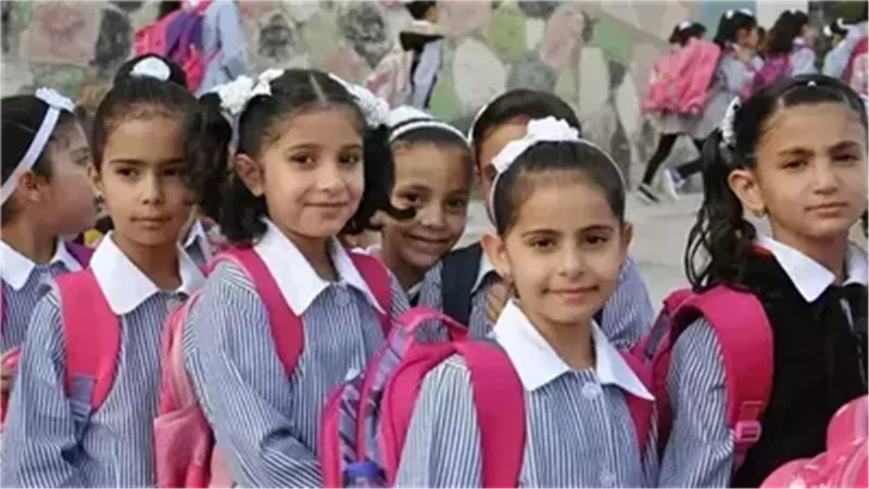 نتيجة الصف الخامس الابتدائي برقم الجلوس بالبحيرة 