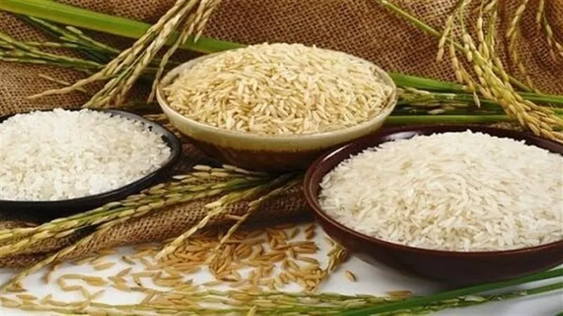سعر طن الأرز الشعير اليوم الأحد 26-1-2025 للتاجر والمستهلك