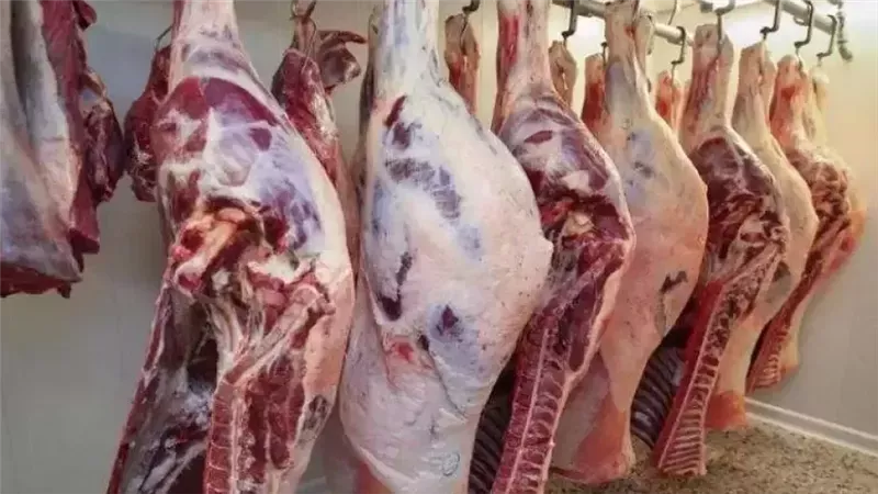 أسعار اللحوم اليوم الأحد 26-1-2025 داخل الأسواق 
