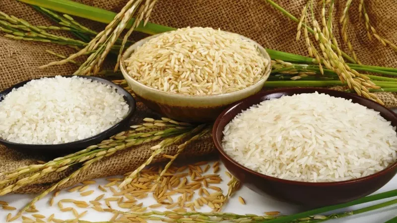للمستهلك.. سعر طن الأرز الشعير اليوم الإثنين 27-1- 2025 في الأسواق 
