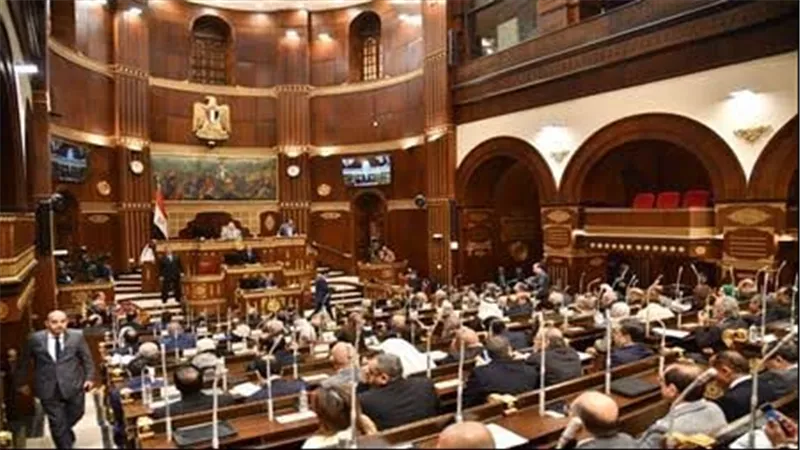 الأوراق المطلوبة للترشح في انتخابات مجلس الشيوخ 2025.. التفاصيل الكاملة