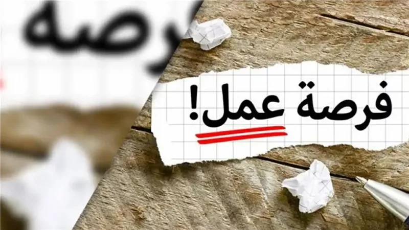 وزارة العمل تعلن 2949 وظيفة جديدة في 10 محافظات لشهر يوليو 2025