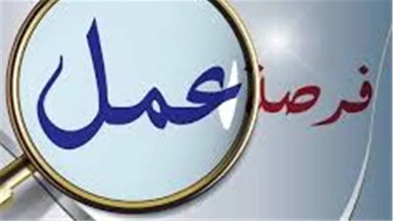 وظائف وزارة الأوقاف.. المركزي للتنظيم والإدارة يكشف عن الشروط والمستندات المطلوبة