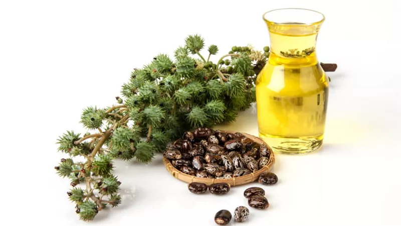 فوائد زيت الخروع للبطن ولعلاج التهاب المفاصل.. تعرف عليها