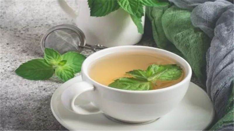 أضرار النعناع على النساء.. إحذري من هذا العشب الخطير