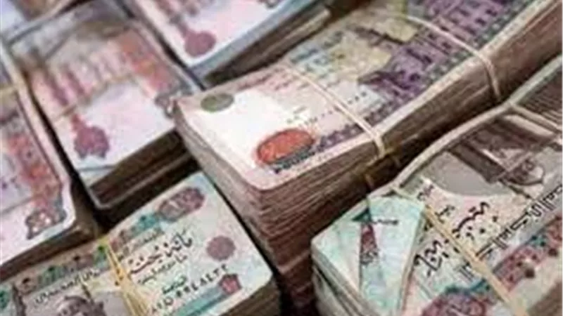 مصير صرف العلاوات الخمسة لأصحاب المعاشات بعد قرار القضاء الإداري