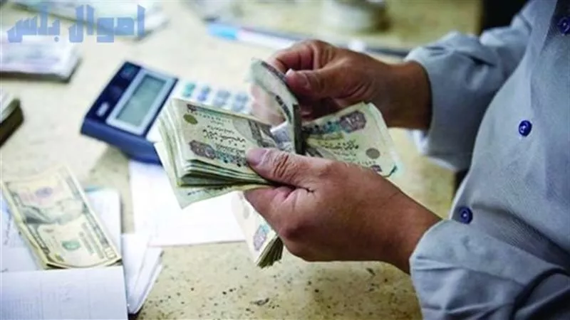 صرف معاشات فبراير 2025 السبت المقبل.. وقرار عاجل بشأن بنك ناصر 