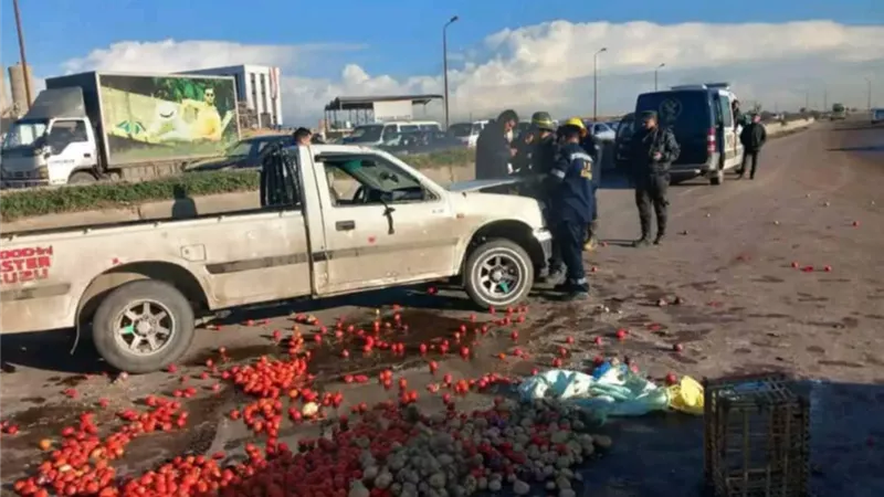  إصابة 14 عاملا في تصادم سيارتين بـ حادث المنيا بسبب الطماطم