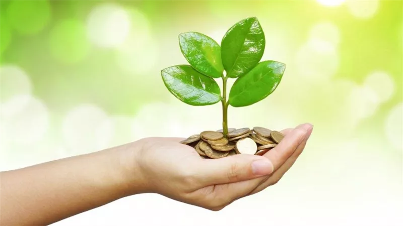 حكم إخراج الصدقات من فوائد البنوك.. دار الإفتاء توضح