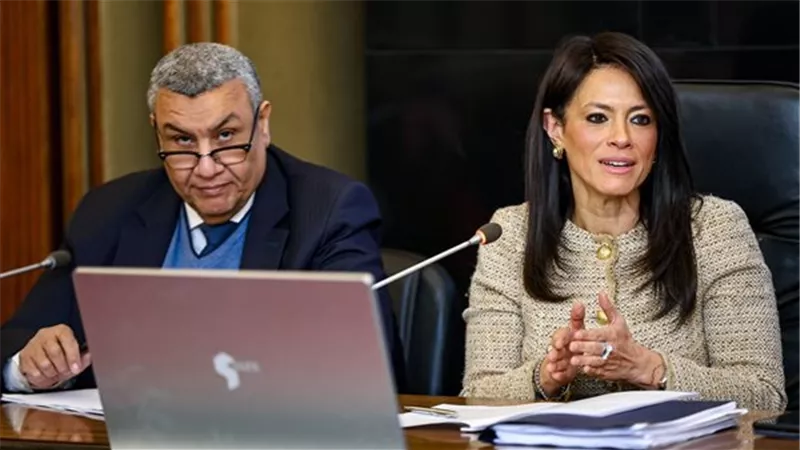 المشاط ووكيل خطة النواب يبحثان تنفيذ خطط التنمية المستدامة لدعم مستقبل مصر