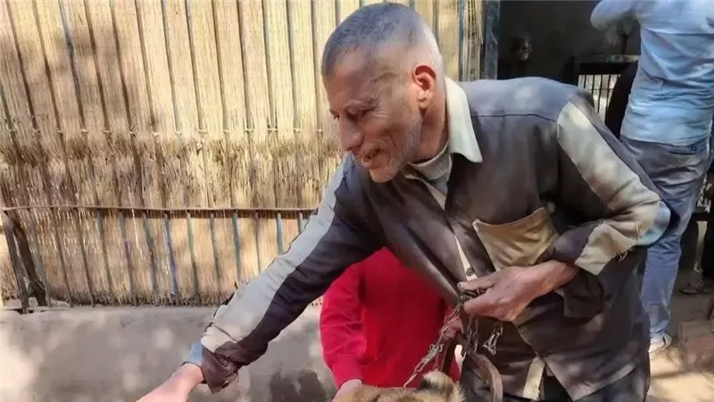 تفاصيل قرار غلق حديقة حيوان الفيوم اليوم بعد افتراس أسد لحارسه