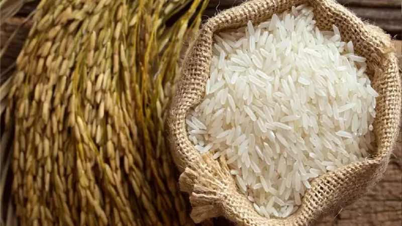 سعر طن الأرز الشعير اليوم في الأسواق .. وصل لكام بختام التعاملات