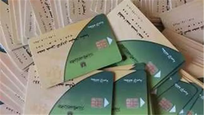 خطوات إضافة المواليد على بطاقات التموين 2025 .. الشروط والفئات المستحقة