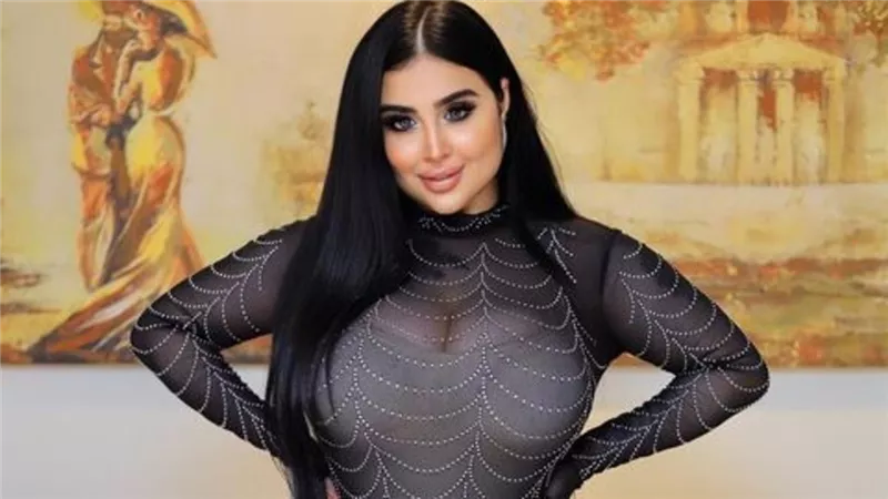 اليوم متابعة محاكمة البلوجر روكي أحمد بتهمة تسهيل الدعـ.ـارة