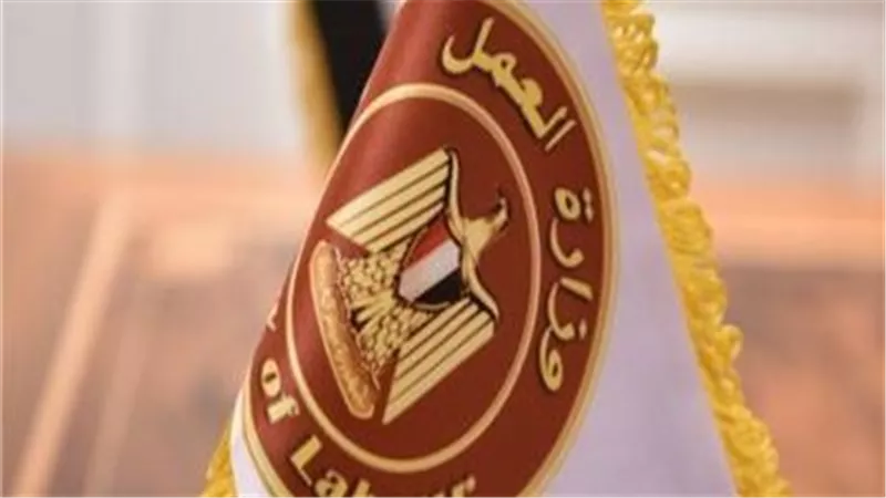 فرص عمل بالإمارات.. رابط التقديم على 310 وظيفة برواتب مجزية