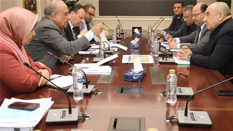 وزيرا الكهرباء وقطاع الأعمال العام يبحثان التعاون في تنفيذ مشروعات الطاقة المتجددة 