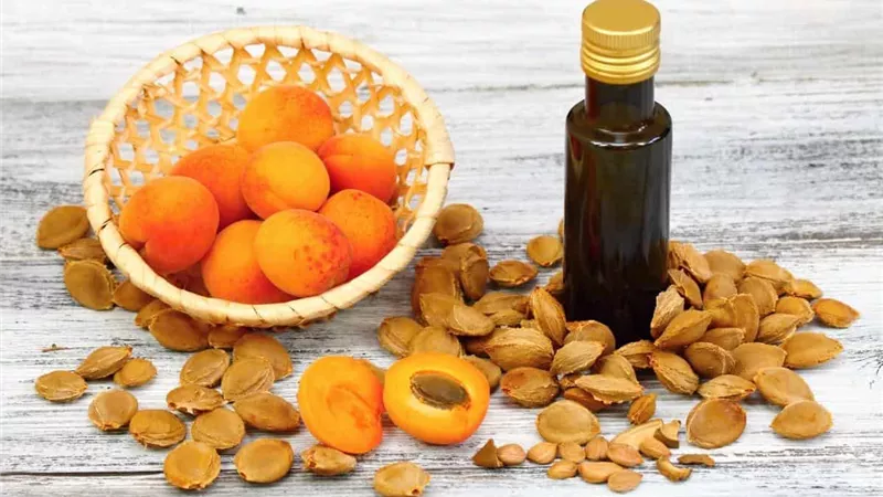 زيت المشمش للبشرة .. فوائده السحرية وكيفية استخدامه بشكل صحيح