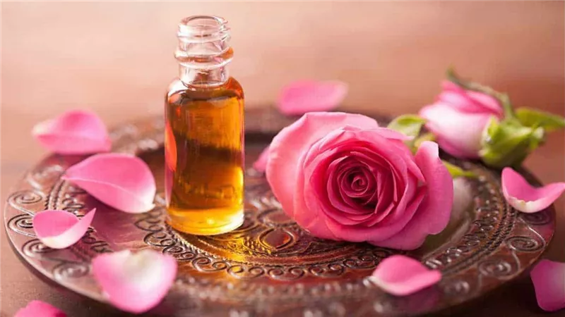 الورد البلدى.. سر الجمال الطبيعي وعلاج البشرة المتكامل 