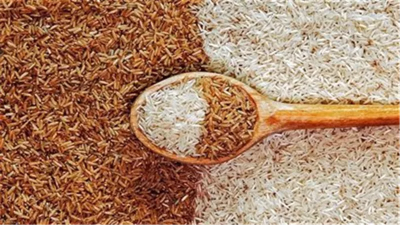 سعر طن الأرز الشعير اليوم في الأسواق وسط حملات مكثفة لضبط الأسواق