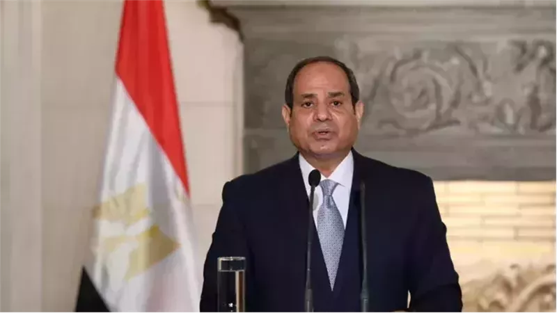 السيسي وقيس سعيد يبحثان تعزيز التعاون وموقف البلدين من أزمة غزة