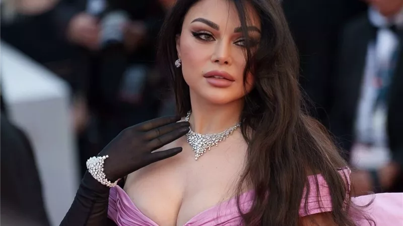 تعرف على حقيقة زواج هيفاء وهبي من رجل أعمال مصري شهير