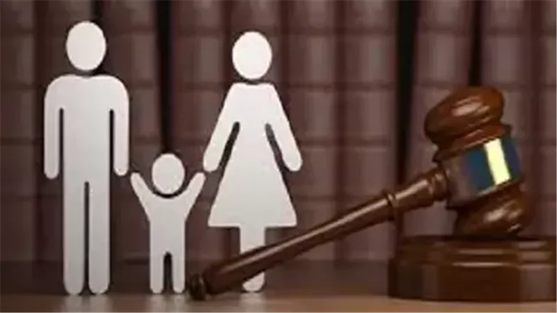 كيفية الاستعلام عن قضية في محكمة الأسرة.. أون لاين وانت في بيتك