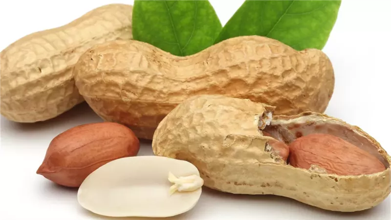 الفول السوداني واضطرابات الجهاز الهضمي.. متى يصبح ضارًا؟