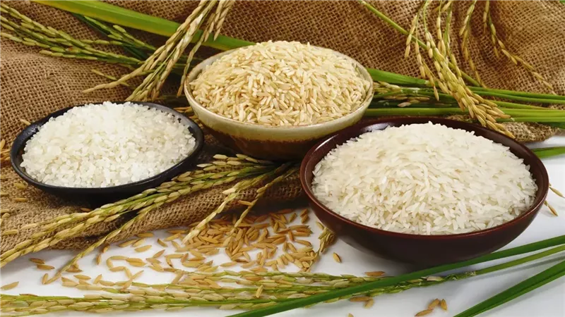 سعر طن الأرز الشعير اليوم الأحد.. توقعات بالانخفاض قبل رمضان