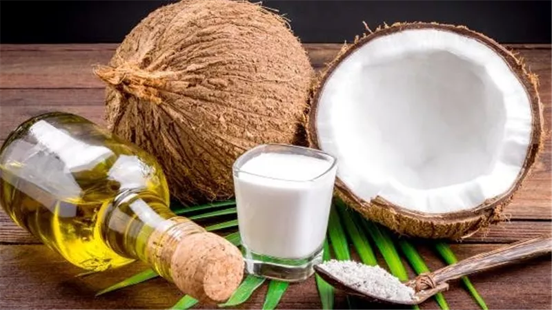 فوائد تناول جوز الهند يوميًا.. أبرزها القضاء على الفطريات والبكتيريا