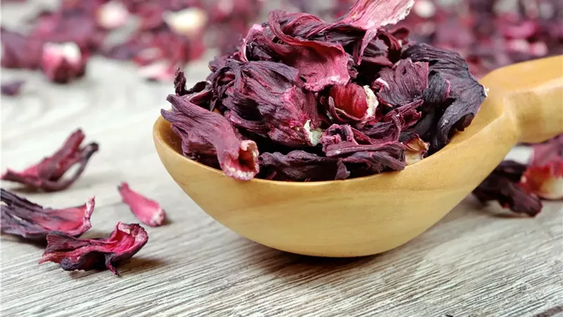 أسرار الكركديه الصحية.. من فقدان الوزن إلى الوقاية من السرطان