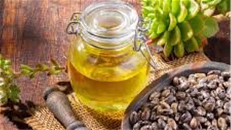 من تعزيز المناعة إلى كثافة الشعر.. فوائد لا تصدق لزيت الخروع!