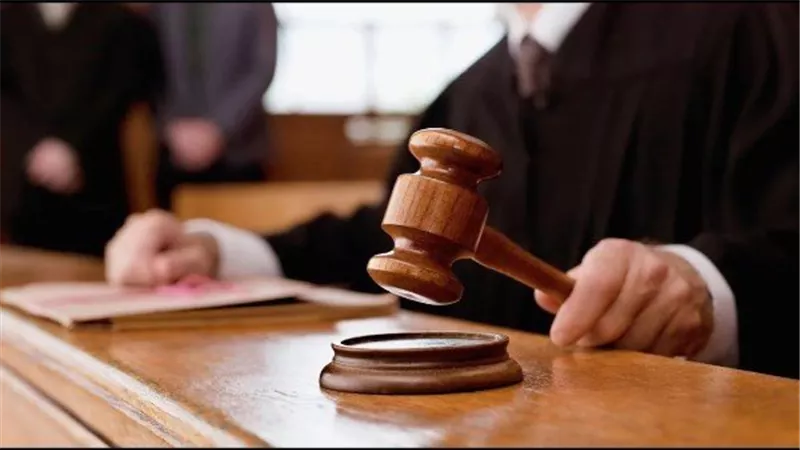 محاكمة سائق دهس سيدة في الجيزة أثناء عبورها الطريق