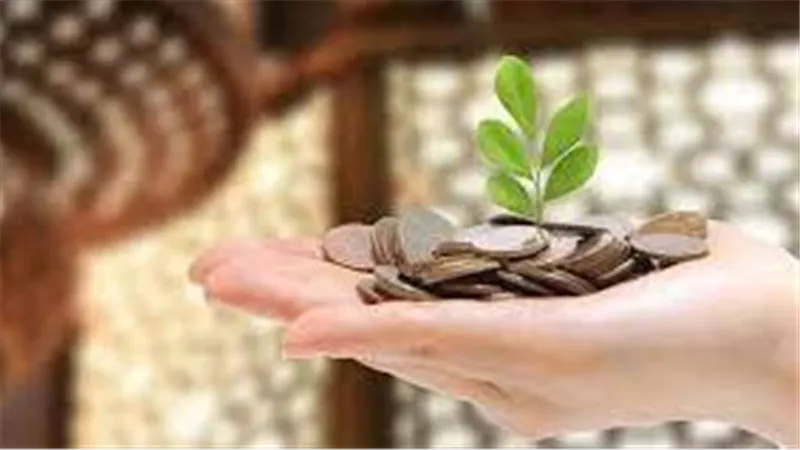 هل يجوز إخراج زكاة الفطر مالًا بدلاً من الطعام؟.. الافتاء توضح 