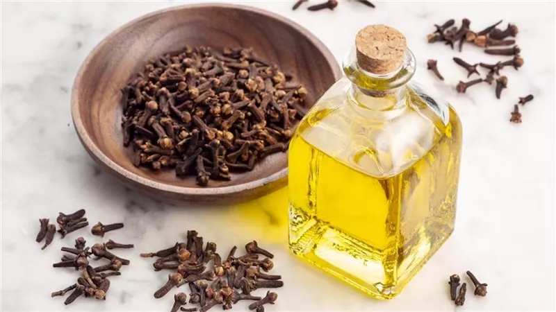 رمضان صحي مع القرنفل.. سر العافية بعد الإفطار والسحور