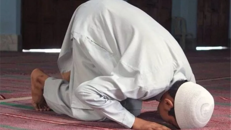 حكم قراءة القرآن من المصحف في صلاة التراويح.. وهل يختلف في الفروض؟ 