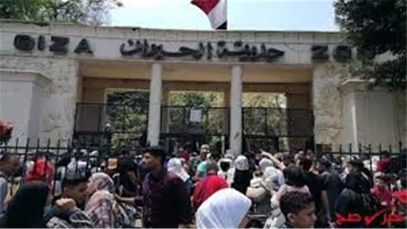 موعد افتتاح حديقة الحيوان بالجيزة 2025: خطة التطوير والتجارب الجديدة