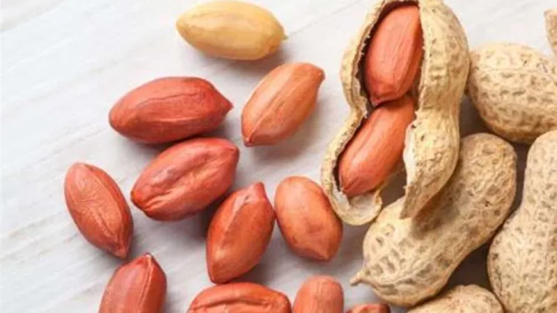 فوائد الفول السوداني.. غذاء خارق لصحة الدماغ وجمال البشرة والشعر