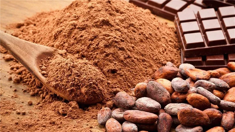 الكاكاو الخام.. إكسير الصحة والطاقة في كوب واحد إليك فوائده