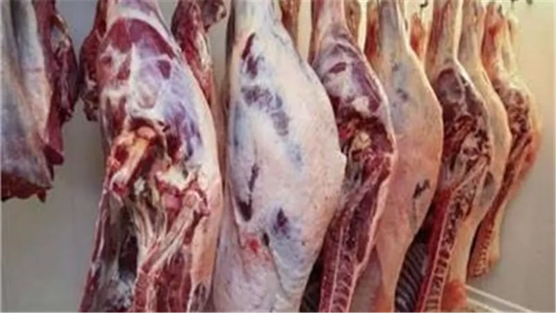 أسعار اللحوم الحمراء اليوم الأربعاء 26-3-2025 داخل الأسواق والمحال 