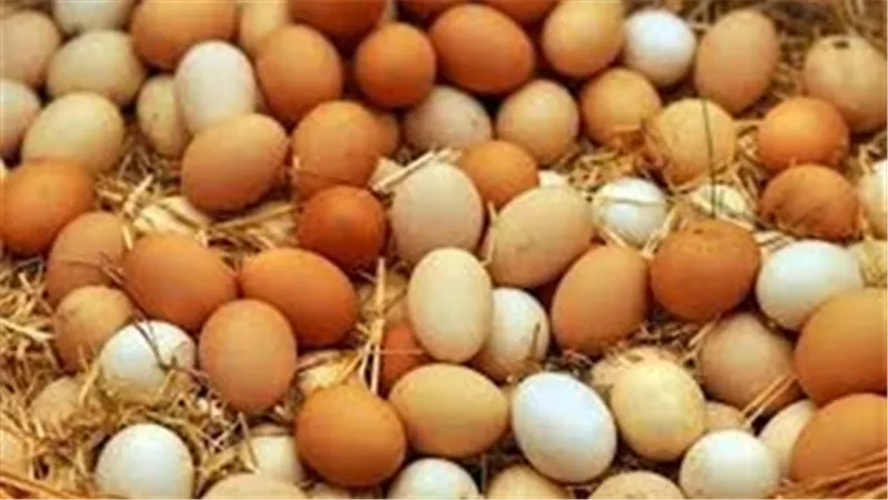 سعر كرتونة البيض اليوم 26-3-2025 للمستهلك .. بخصم 30%