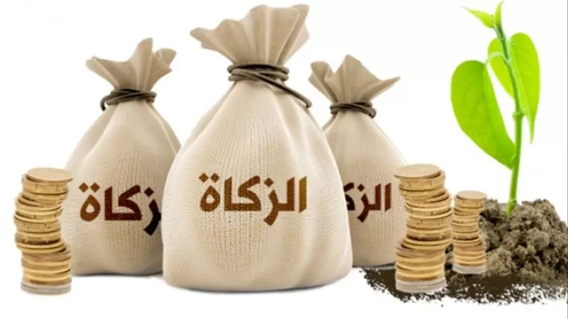 زكاة الفطر 2025.. من يجب عليه إخراجها؟ وما حكم غير المستطيع؟