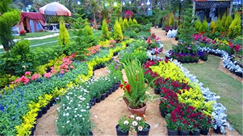 موعد معرض الزهور 2025.. اعرف المكان وفتح باب الاشتراك 