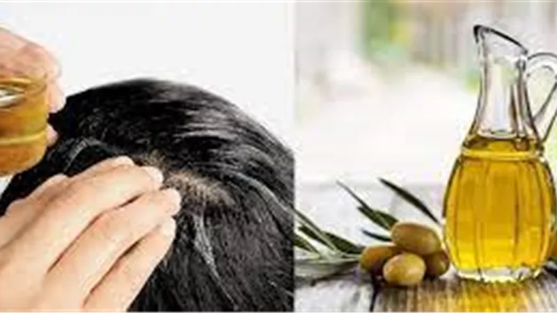 من الطبيعة إلى الجمال.. فوائد زيت الزيتون في العناية بصحة شعرك