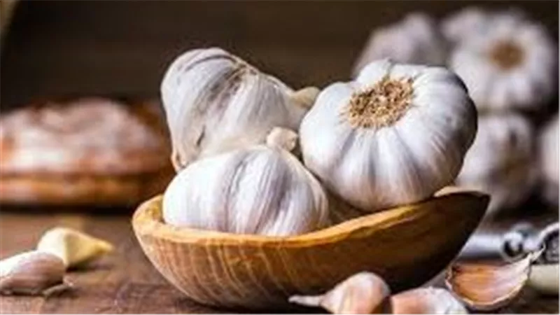 فوائد الثوم.. تعزيز المناعة ومكافحة السرطان وتحسين صحة الكبد بشكل طبيعي